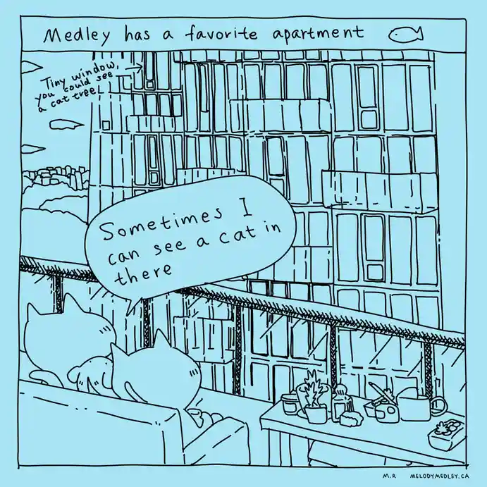 A hand-drawn comic panel shows two cats on a couch looking up at a tall apartment building. A speech bubble says 'Sometimes…