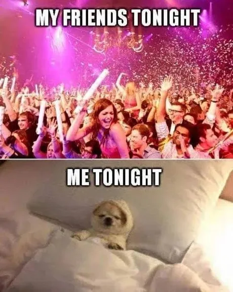 Ring in the New Year with Joyful Celebrations