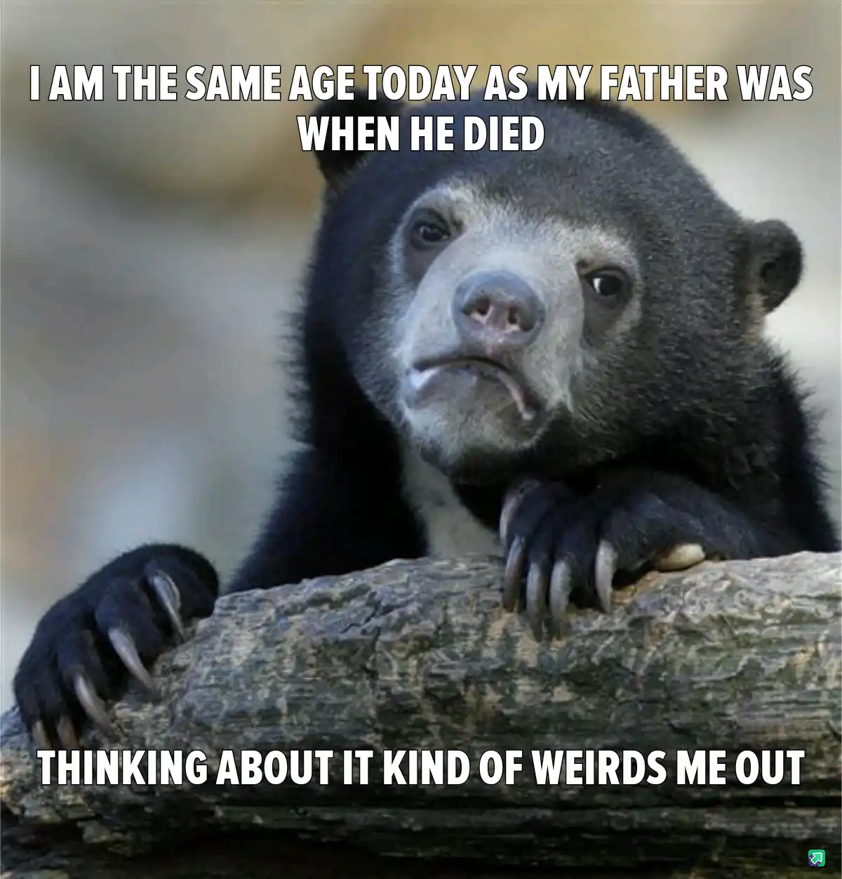 A close-up photo of a sad-looking, dark-furred bear with a white snout and chest, resting its paws on a log. The bear has a…