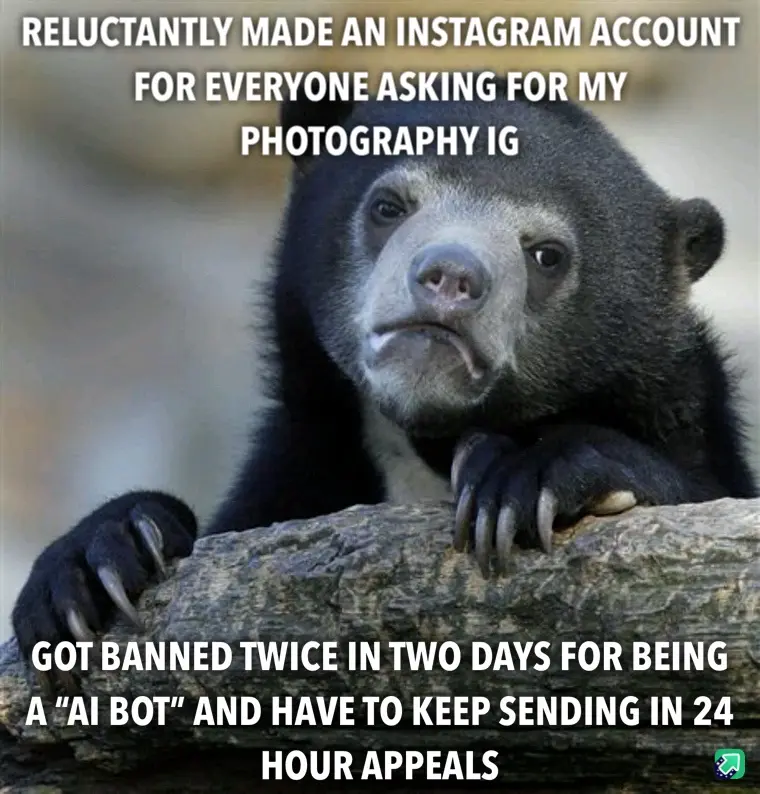 A close-up photo of a sad-looking spectacled bear resting its paws on a log, with white text overlaid in two blocks. The top…