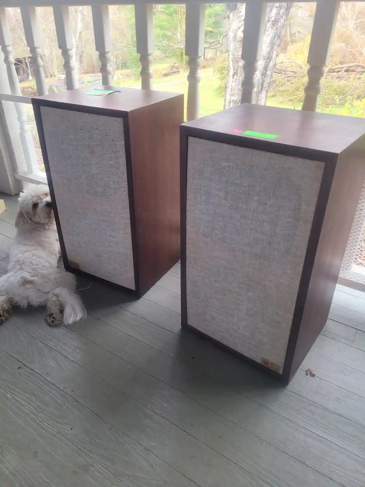 A small white fluffy dog sits on a wooden porch floor, looking up at two large, vintage-style wooden speakers with fabric…