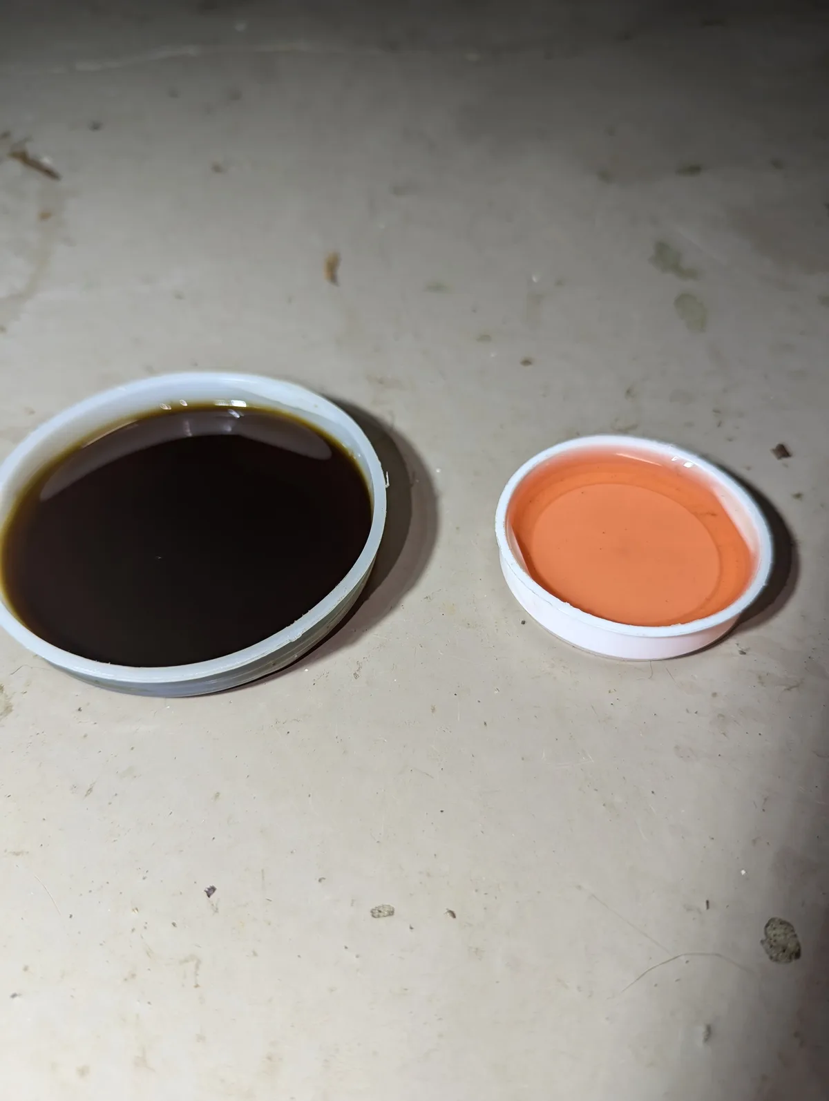 Two white plastic lids sit side by side on a dirty, speckled floor; one contains a dark brown liquid resembling soy sauce…
