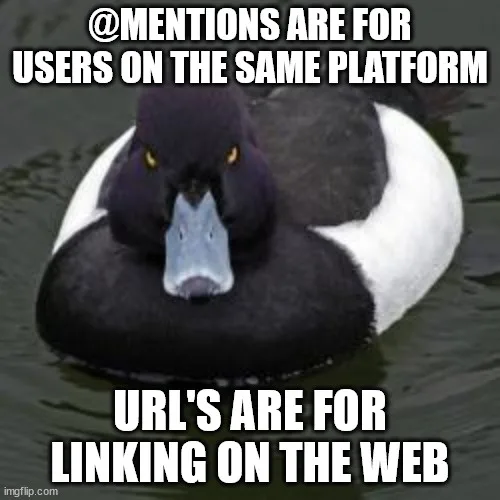 My Thoughts on This Platform and Beyond