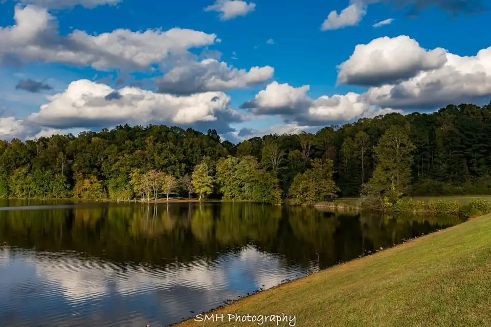 Serene Beauty of the Lake
