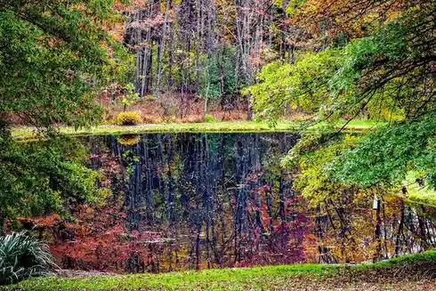 A serene autumn landscape featuring a calm pond reflecting colorful trees with green, yellow, and red leaves. Overlaid text…