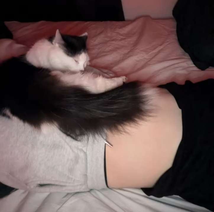 A black and white cat is curled up and sleeping on a person's bare back, which is exposed between a grey shirt and black…