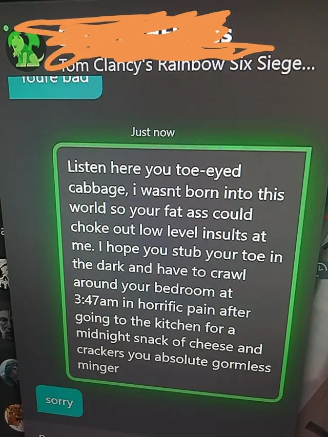 A screenshot from Tom Clancy's Rainbow Six Siege shows a chat message where a player delivers a long, aggressive, and…