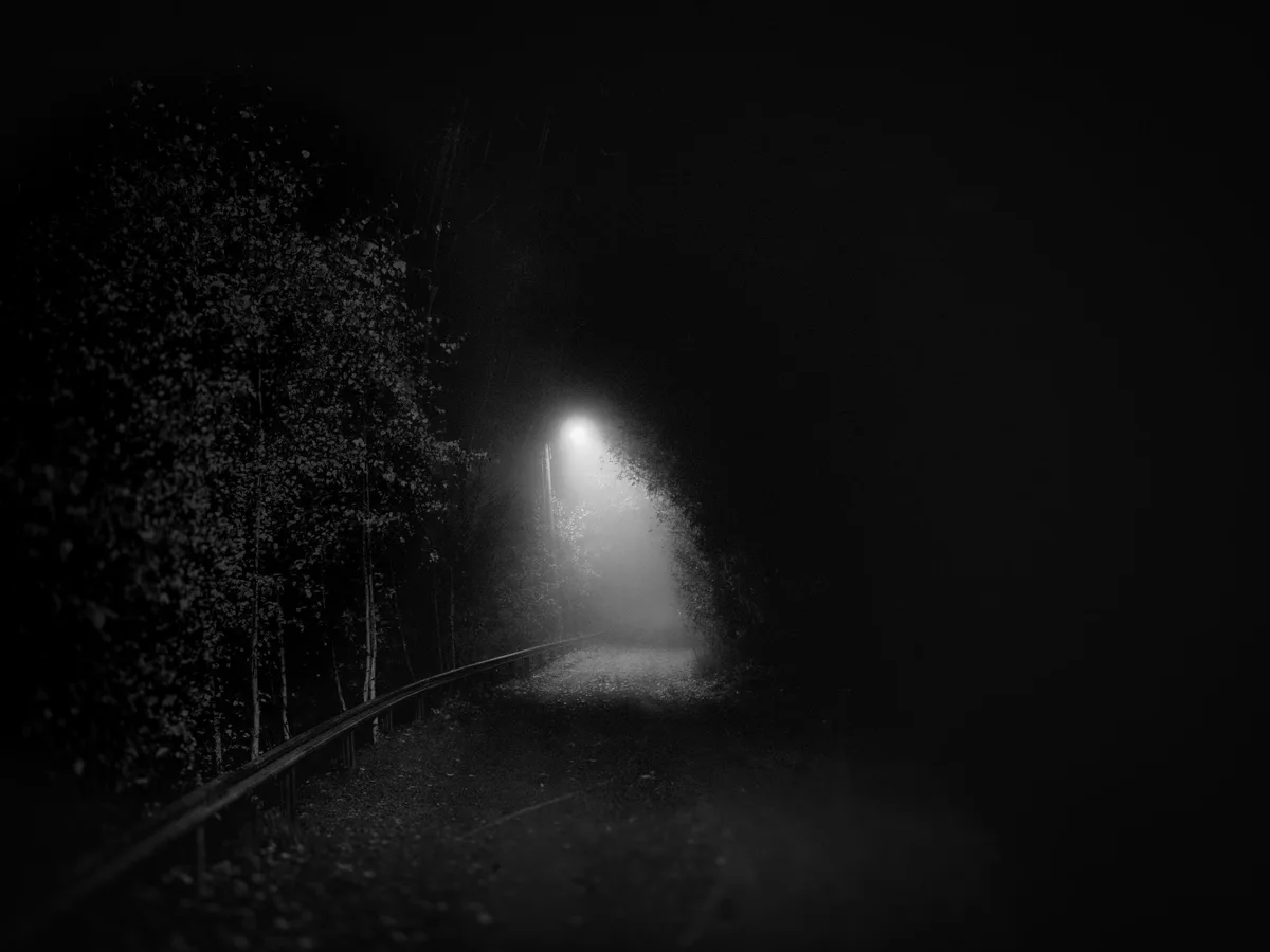 A black-and-white photo shows a narrow, foggy path at night, flanked by trees and a railing, with a single streetlamp…