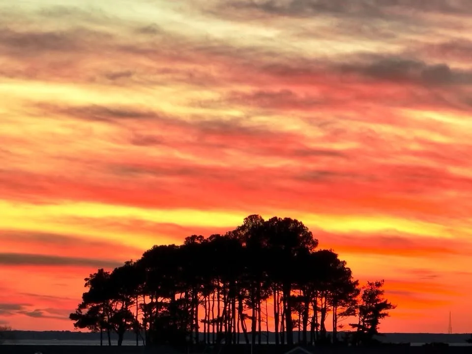 A vibrant sunset with fiery orange, red, and yellow clouds dominates the sky, silhouetting a cluster of tall trees against…