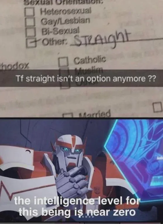 A form with 'Sexual Orientation' checkboxes shows 'Other: STRAIGHT' handwritten, with text overlay 'Tf straight isn't an…