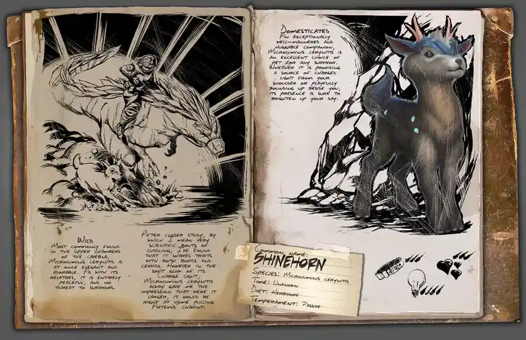 An open, aged field journal shows two pages with hand-drawn illustrations and handwritten notes. The left page depicts a…