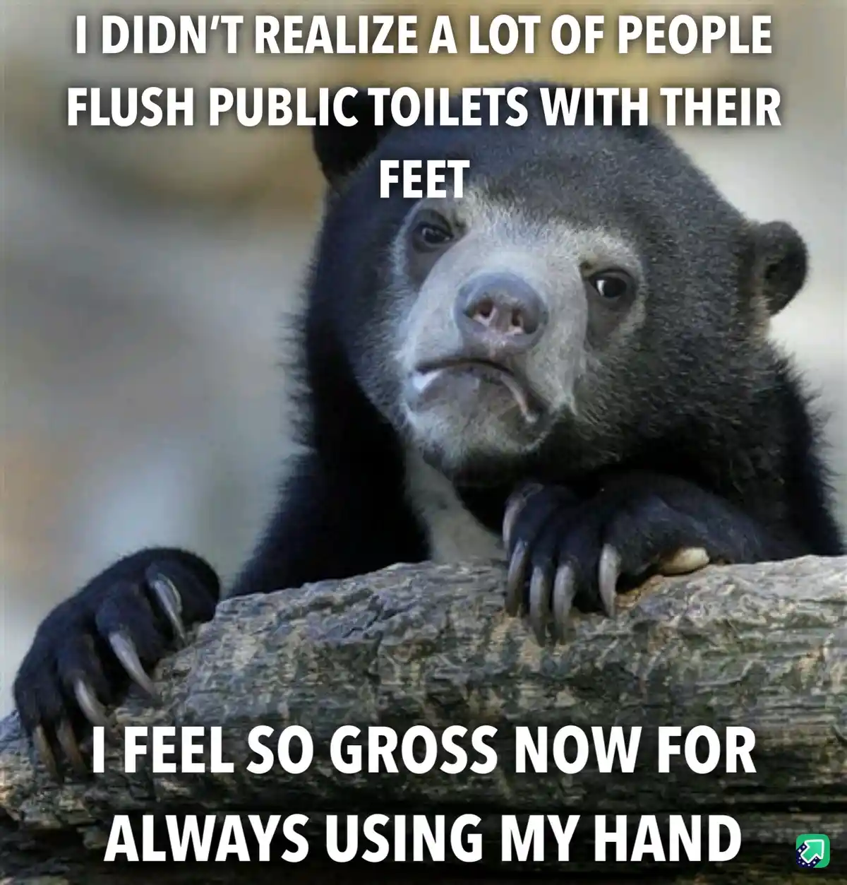 A close-up image of a sad-looking spectacled bear resting its paws on a log, with white bold text overlaid in two sections…