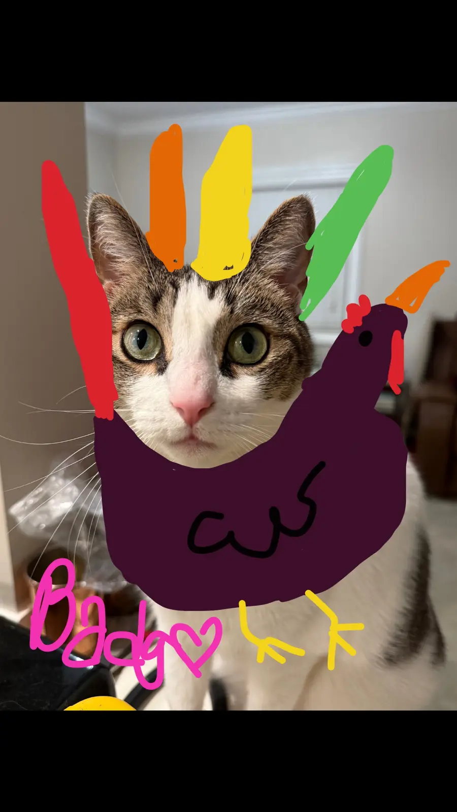 Hand Turkey Competition Submission