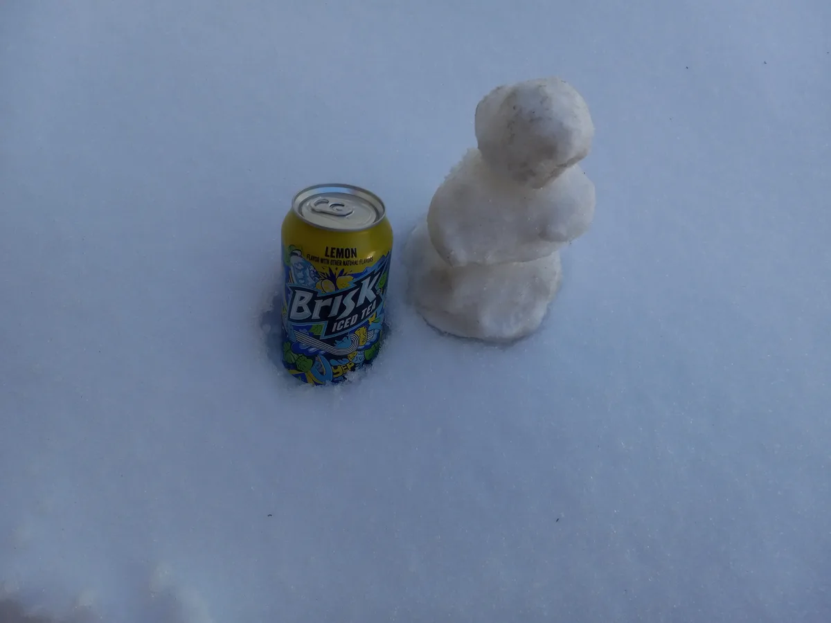 Meet My Adorable Tiny Snowman!