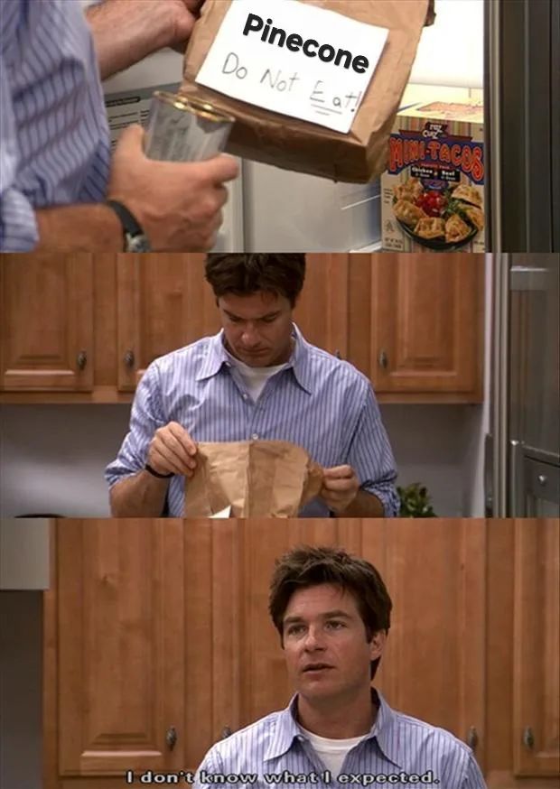 A three-panel meme from the TV show 'Friends' showing a man holding a brown paper bag labeled 'Pinecone Do Not Eat!' while…
