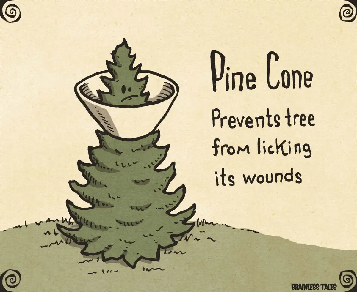 Team Cone'd Pine! Hold on a second...