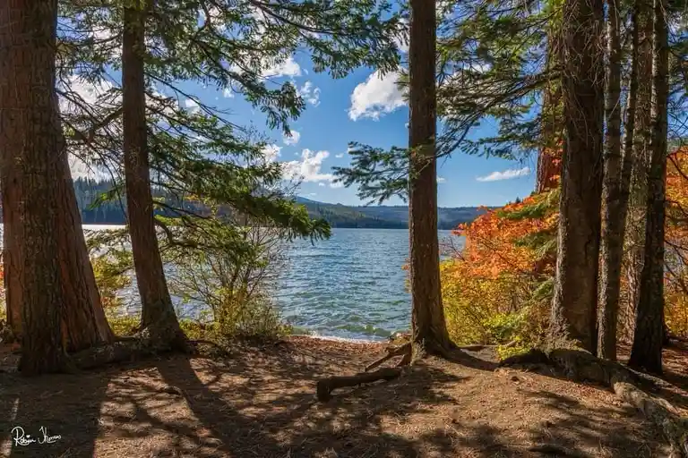 A scenic photograph shows a view of a lake framed by tall trees, with autumn foliage on the right and a blue sky with clouds…