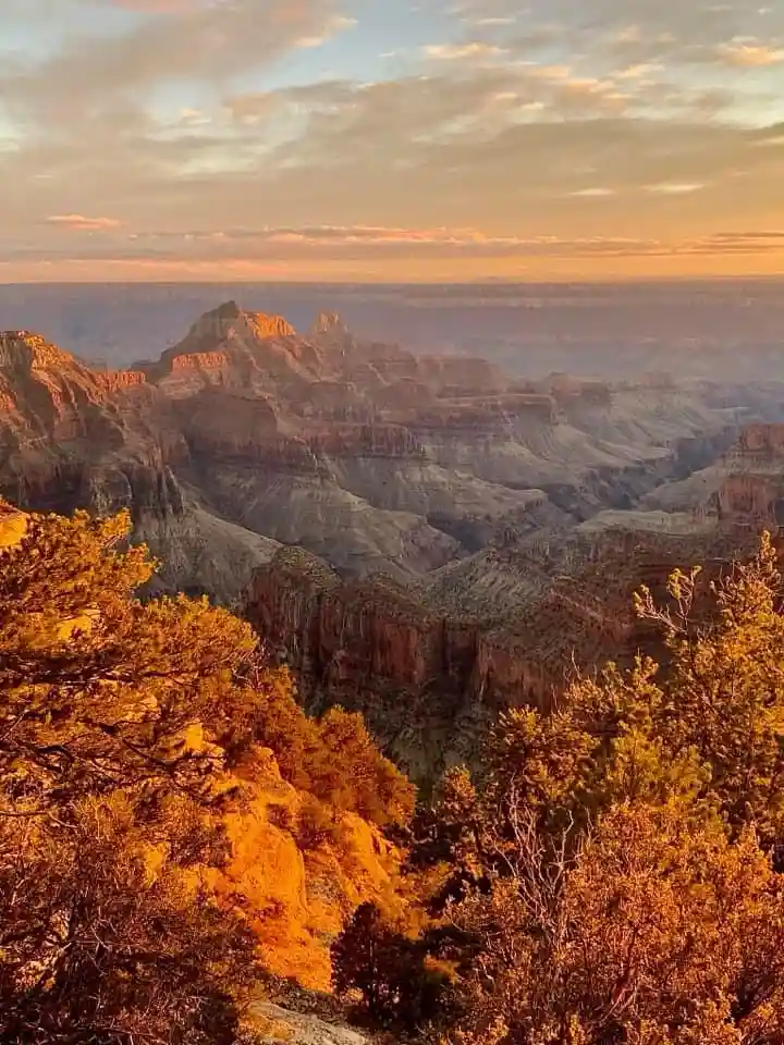 A scenic photo of the Grand Canyon at sunset, with golden light illuminating layered rock formations and foreground trees…