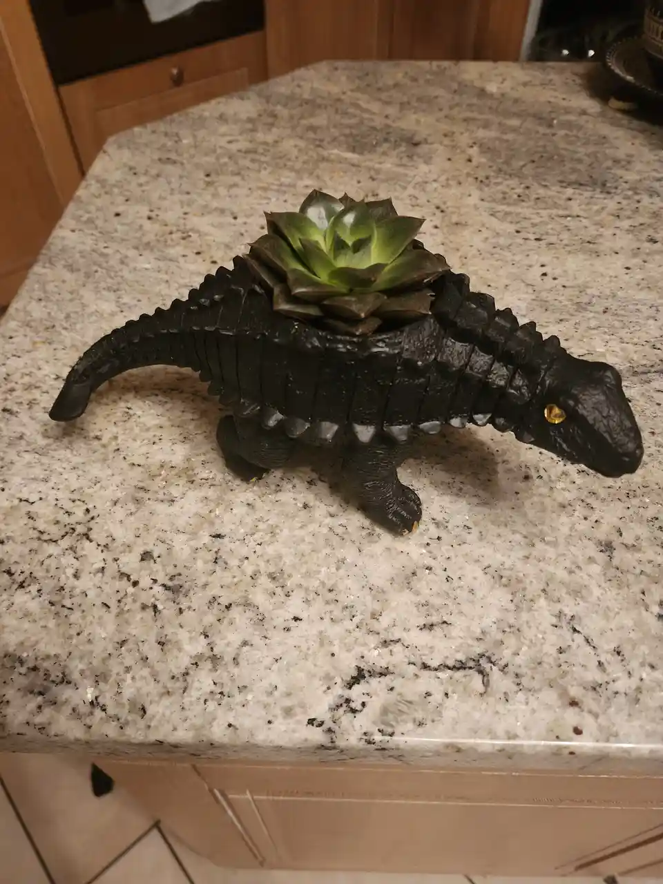 A black plastic dinosaur figurine, resembling an ankylosaurus with a spiked back and tail, is repurposed as a planter on a…