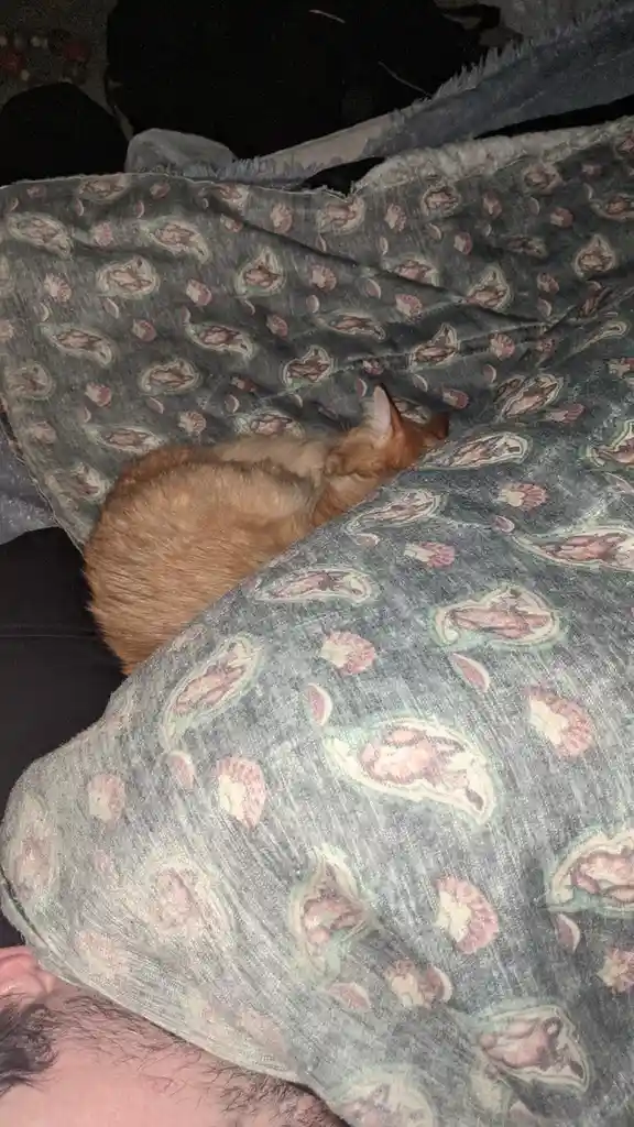 Bedfellows: An Unexpected Pairing