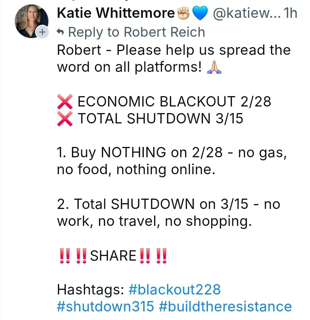 A screenshot of a tweet by Katie Whittemore asking Robert Reich to help spread a call for an 'economic blackout' on 2/28 and…