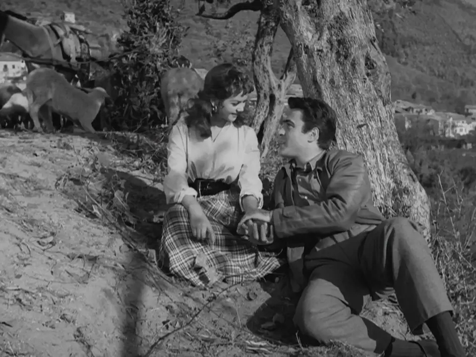 A black-and-white still from a classic film shows a man and woman sitting under a tree, holding hands and smiling at each…