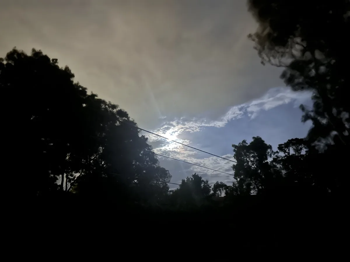 A low-angle shot shows a bright sun peeking through clouds, framed by dark silhouettes of trees on either side and power…