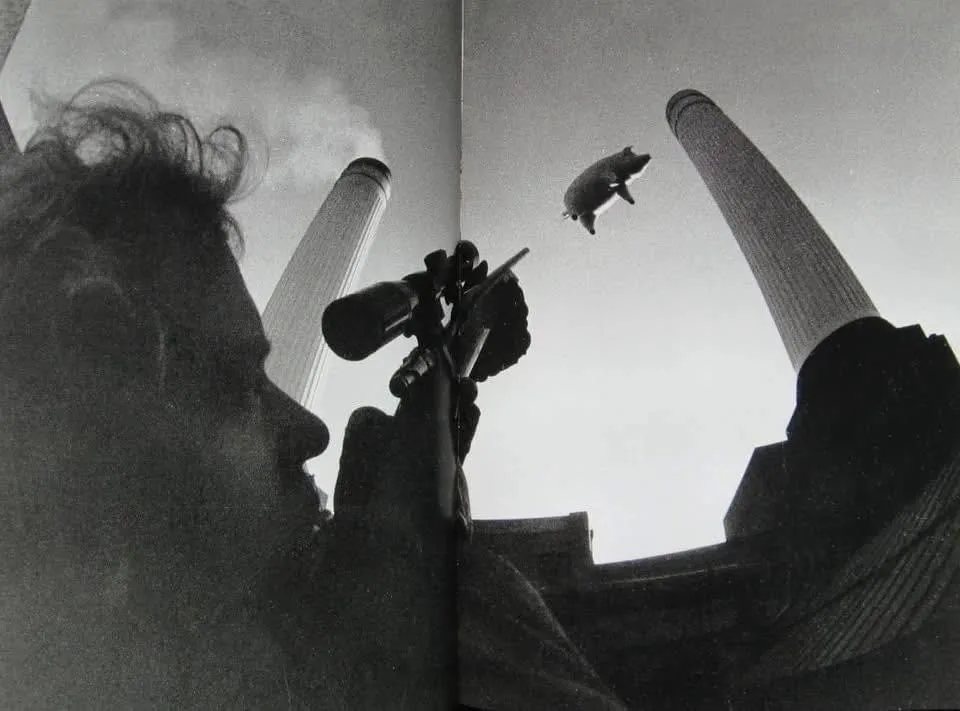 A black-and-white photo shows a man in profile holding a rifle with a scope, aiming upward at a pig flying between two tall…