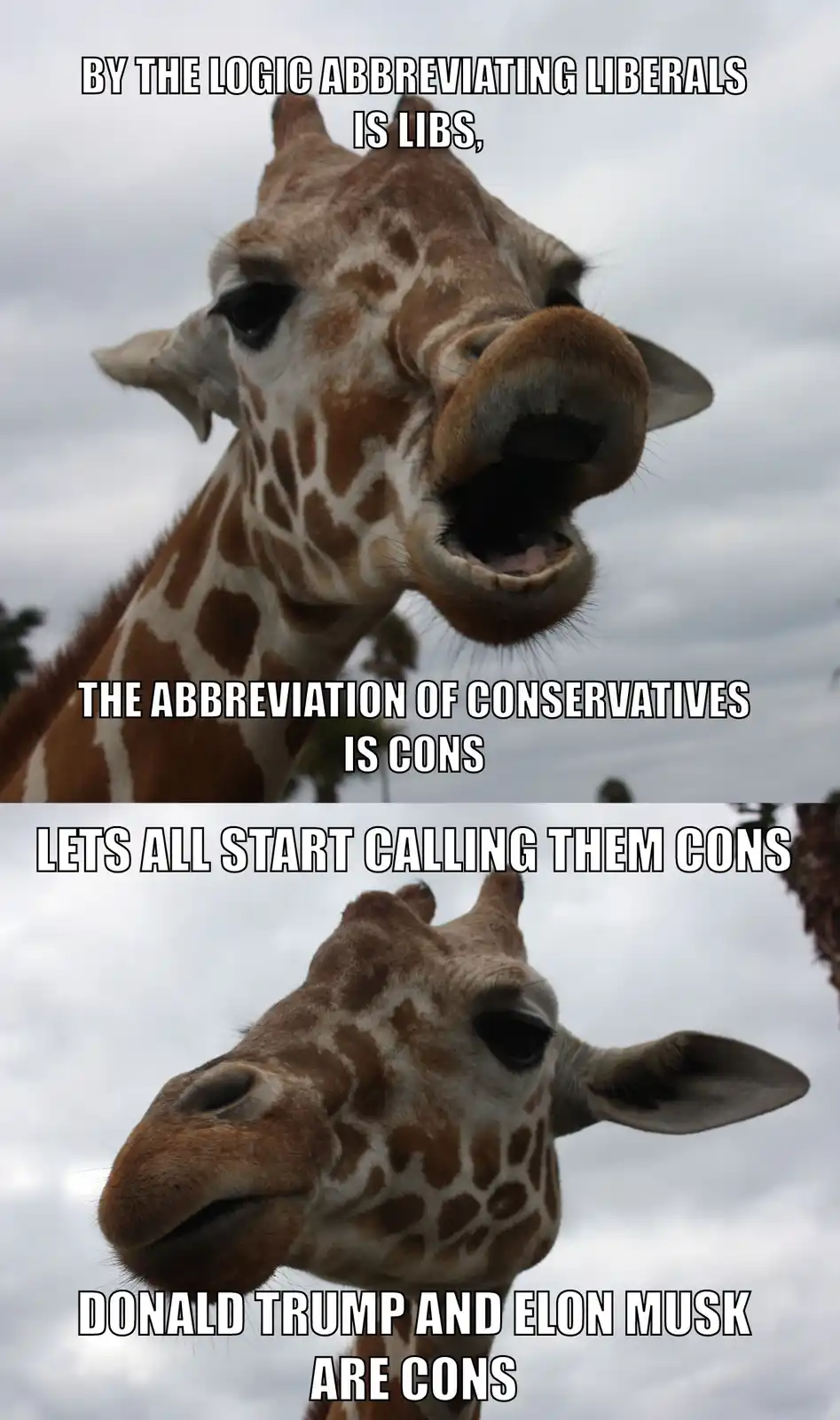 The image features a giraffe with its mouth open in the top panel and a more neutral expression in the bottom panel…