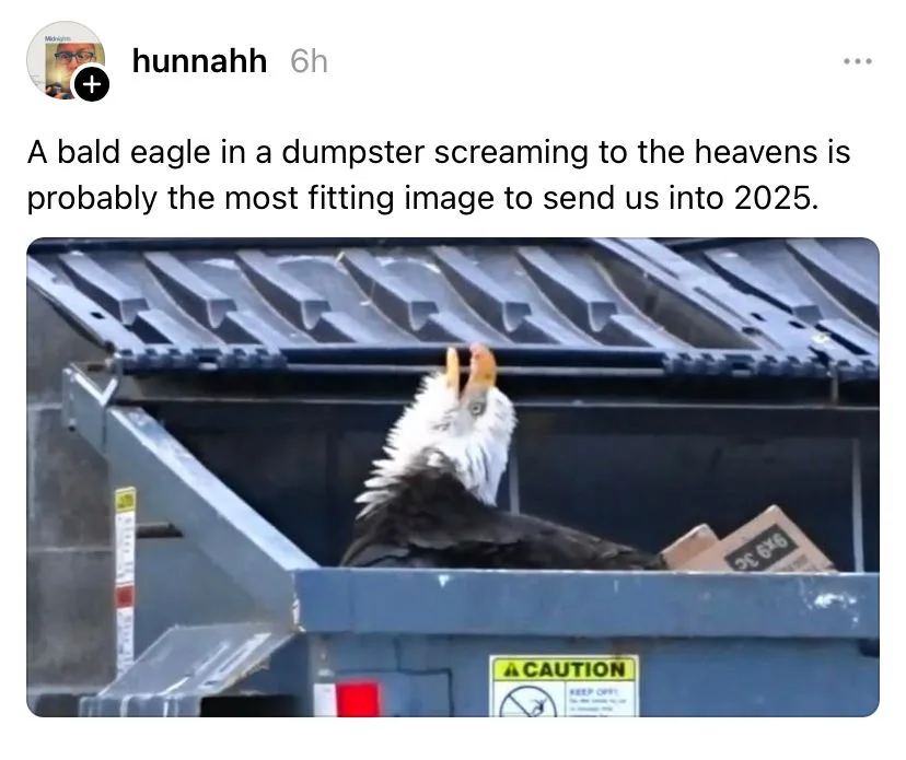 A bald eagle with a white head and yellow beak is perched inside a blue dumpster, looking upward with its beak open as if…