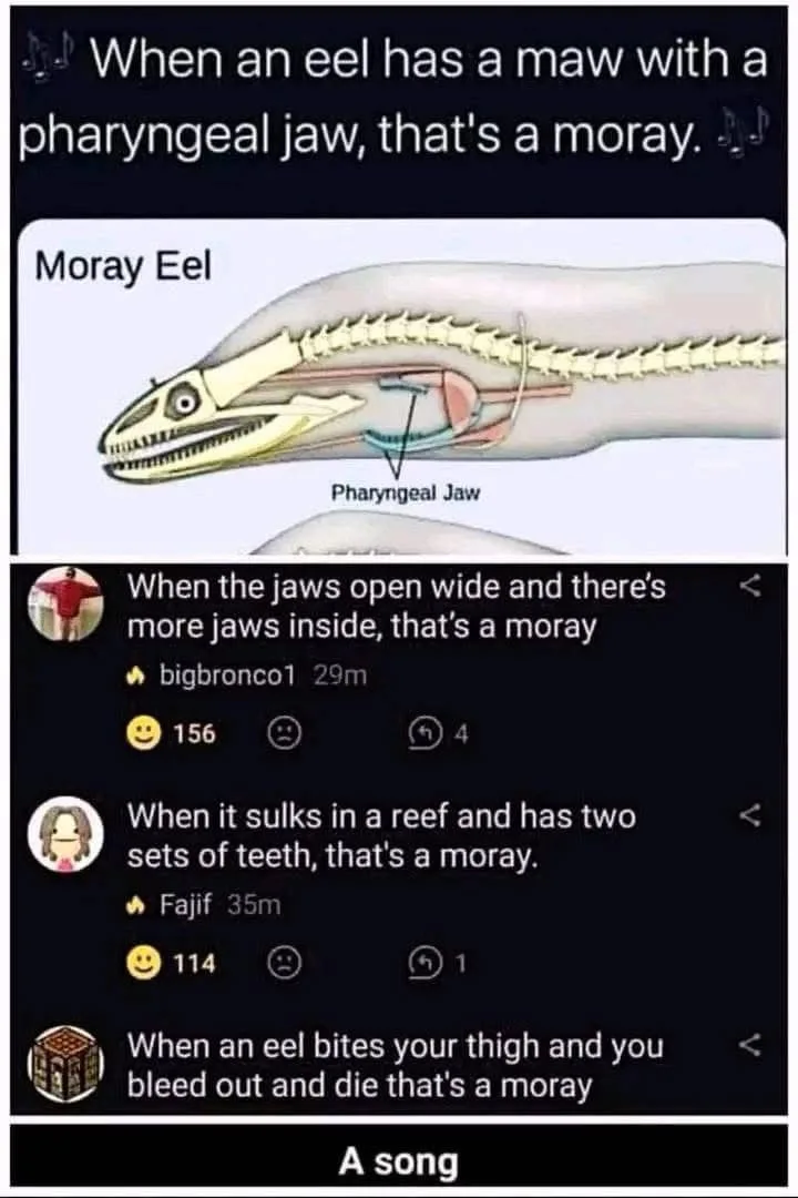 The image displays a diagram of a moray eel's anatomy highlighting its pharyngeal jaw, followed by a mock social media…