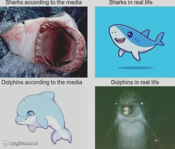 A four-panel meme comparing media portrayals versus reality for sharks and dolphins. Top-left: a real, menacing great white…