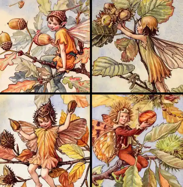 Four vintage-style illustrations show fairies in autumnal settings, each holding or interacting with different nuts: acorns…