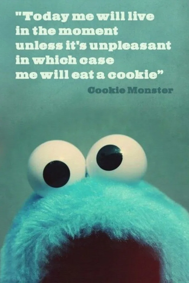 A close-up image of Cookie Monster's large, round eyes and furry blue head against a teal background. White text overlaid at…