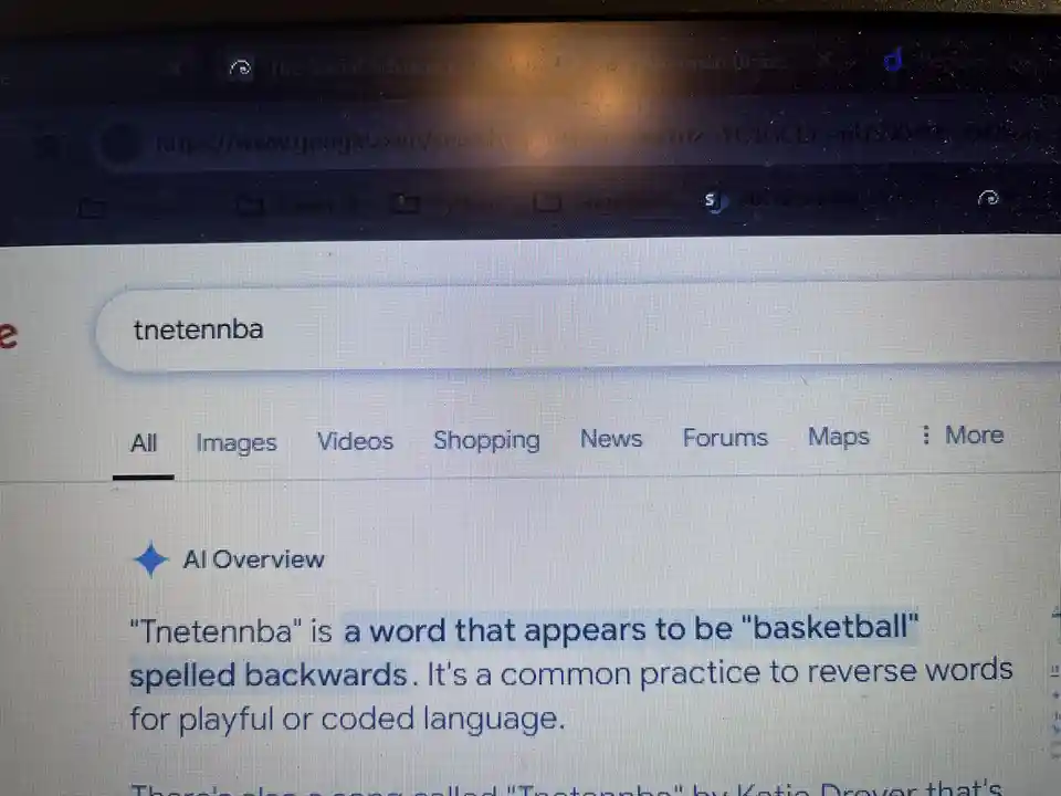 A screenshot of a Google search results page showing the query 'tnetennba' in the search bar. The AI Overview section below…
