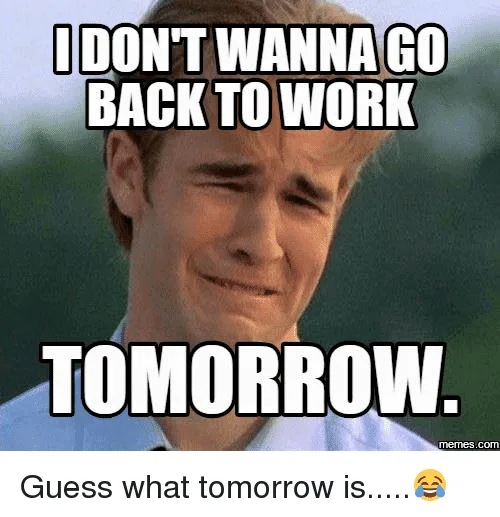 Memes to ease the transition back to work tomorrow