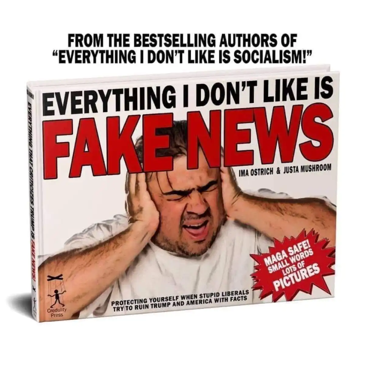 A digitally altered book cover shows a man with his hands over his ears, screaming in agony. The title reads 'EVERYTHING I…