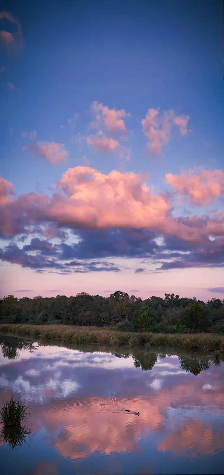 A serene landscape photo shows a calm body of water reflecting a vibrant pink and blue sunset sky with scattered clouds. A…