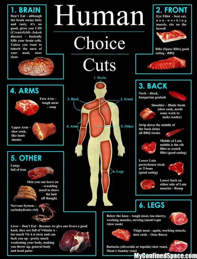 An infographic titled 'Human Choice Cuts' humorously labels human body parts as meat cuts with absurd cooking advice. It…
