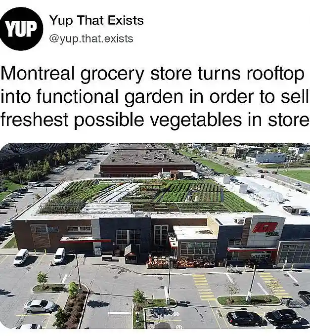 An aerial photo shows a large grocery store with a rooftop garden featuring rows of green plants and white plastic…