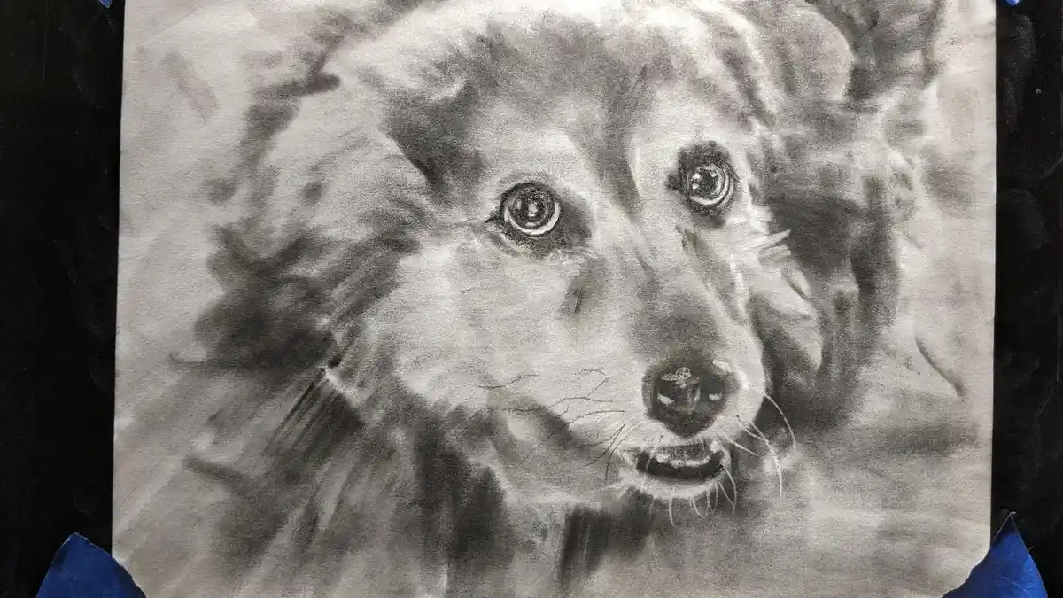 A detailed black-and-white charcoal drawing of a dog's face, showing expressive eyes, a slightly open mouth revealing teeth…