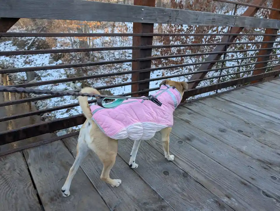 Check Out This Fresh New Drip!