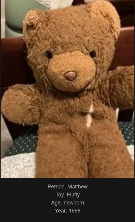 A brown, fluffy teddy bear sits upright, its arms slightly outstretched. Overlaid text identifies it as 'Person: Matthew'…