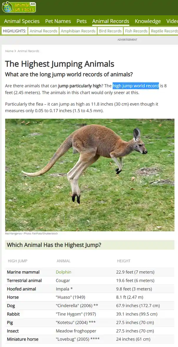 A red kangaroo is captured mid-air, leaping over green grass. The image is overlaid with text from an animal records webpage…