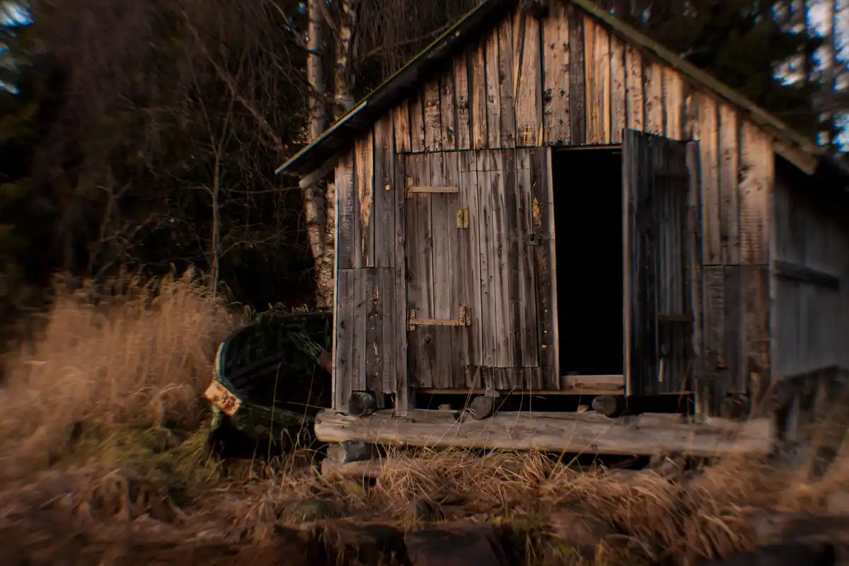 A weathered wooden shed with a partially open door stands in a field of tall, dry grass, with a small boat resting nearby…