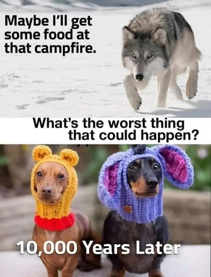 The top panel shows a wolf walking through snow with the text 'Maybe I'll get some food at that campfire.' The bottom panel…
