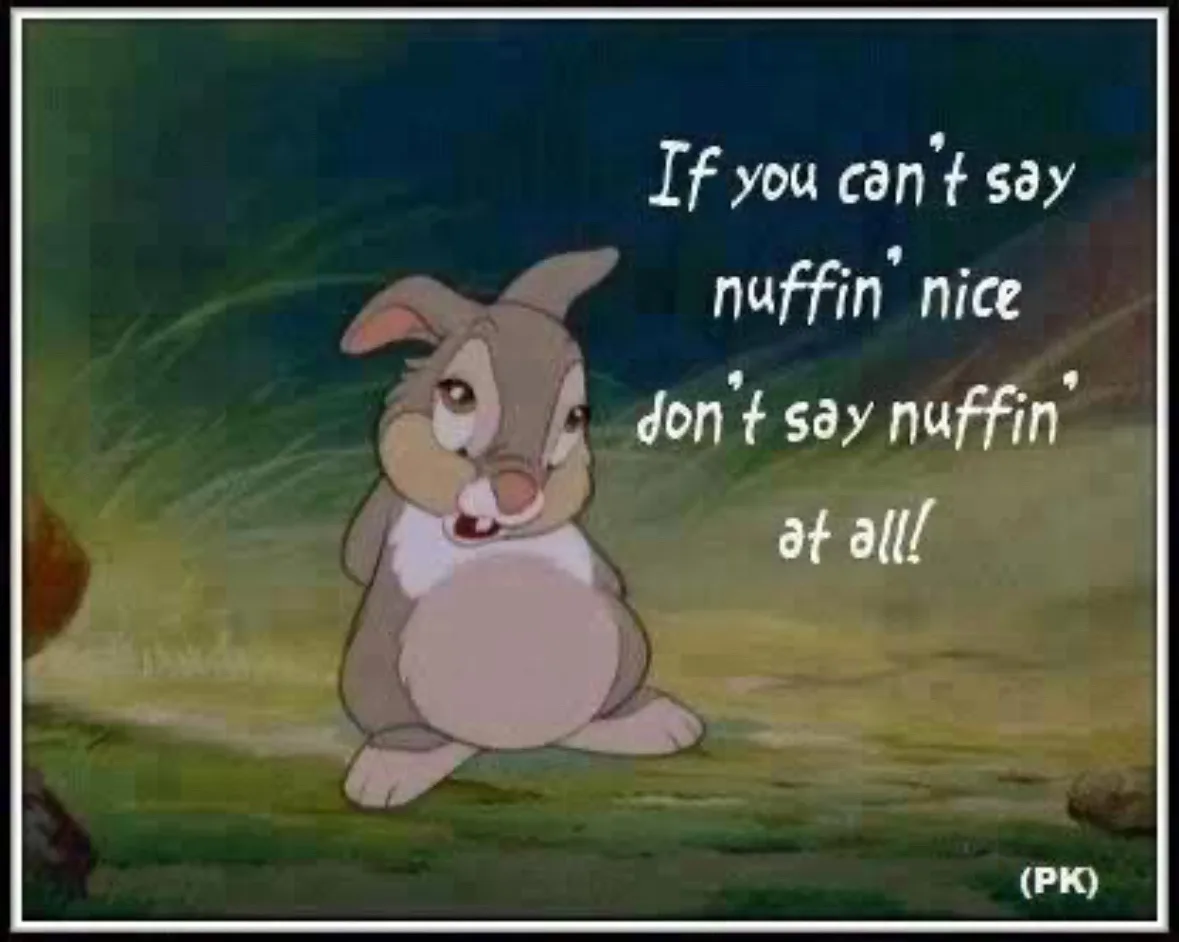 A cartoon rabbit with a sad, pleading expression sits on grass, overlaid with the text 'If you can't say nuffin' nice don't…