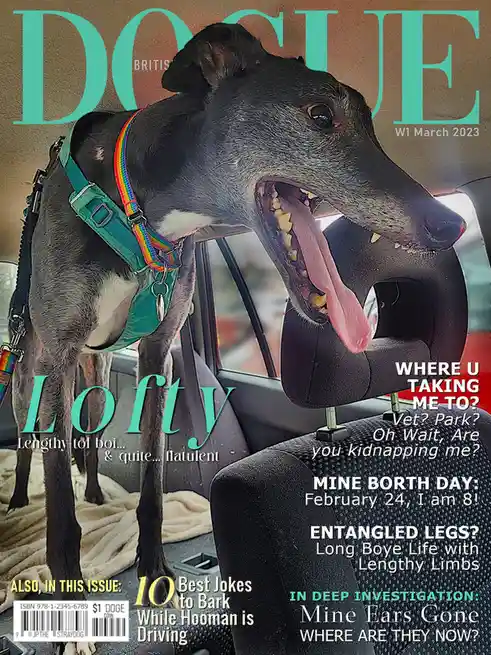 A greyhound named Lofty is featured on a parody 'British Dogue' magazine cover, standing in a car with its mouth open and…