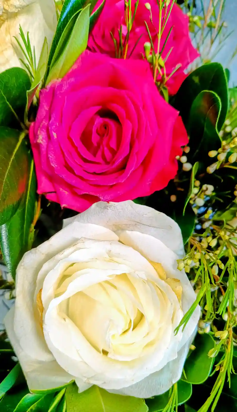 A close-up photo of a vibrant pink rose and a white rose in a floral arrangement, surrounded by green leaves and filler…
