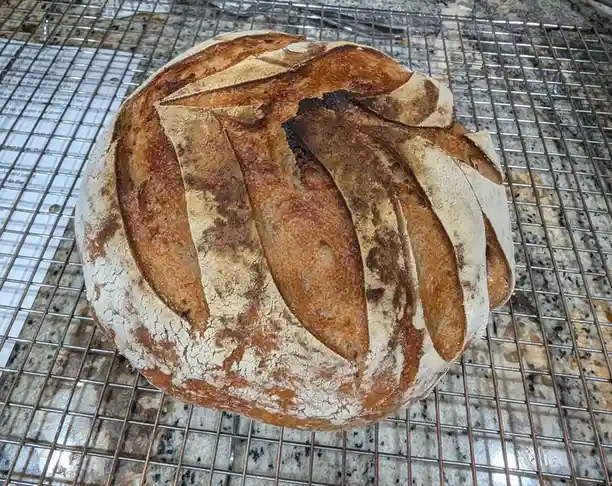 A round loaf of artisan bread with a golden-brown crust and deep slashes sits on a metal cooling rack over a speckled…